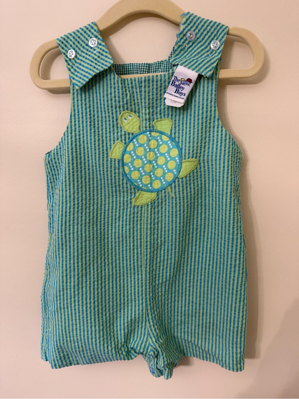 The Bailey Boys Green & Blue Striped Turtle One-Piece for Kids